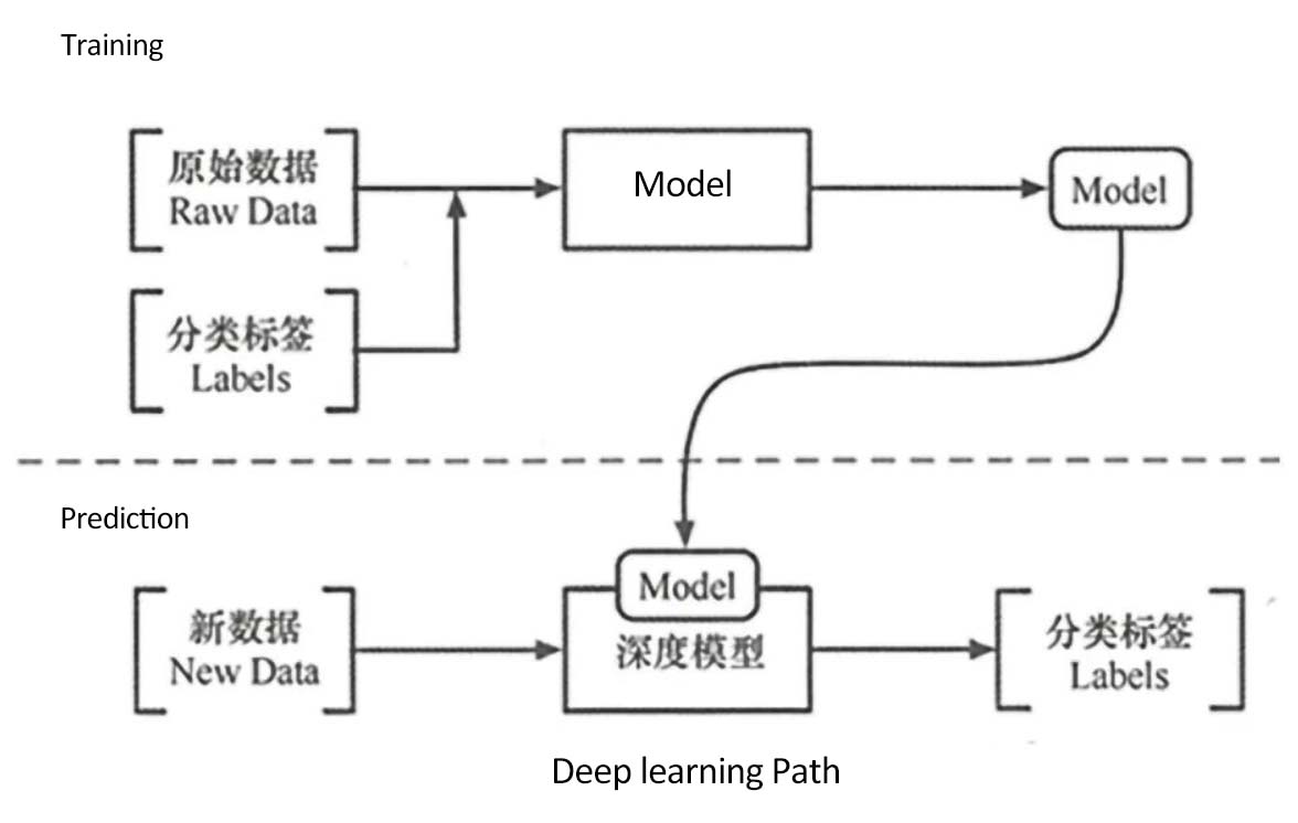 AI DEEP LEARNING 